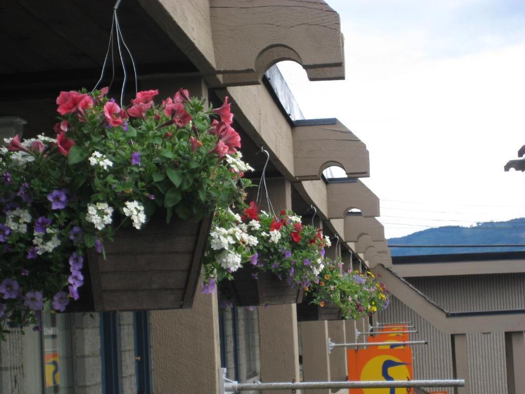 Thunderbird Motor Inn Duncan Εξωτερικό φωτογραφία